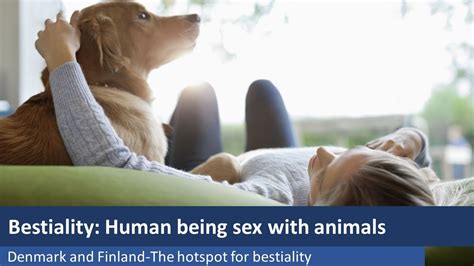 Longest Bestiality Videos